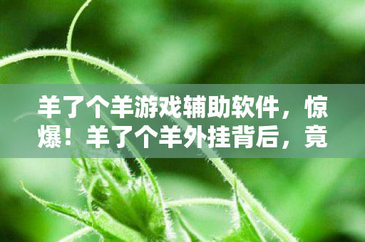 羊了个羊游戏辅助软件,惊爆!羊了个羊外挂背后,竟藏着开发组这3个致命秘密? 羊了个羊游戏辅助软件,惊爆!羊了个羊外挂背后,竟藏着开发组这3个致命秘密?