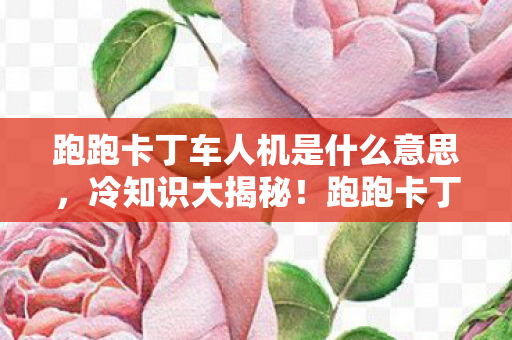 跑跑卡丁车人机是什么意思，冷知识大揭秘！跑跑卡丁车人机颠覆设定，目瞪口呆的隐藏真相！