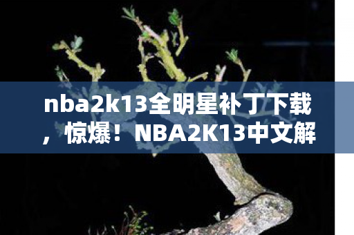 nba2k13全明星补丁下载,惊爆!NBA2K13中文解说补丁竟藏500万隐情,真相让人吓一跳! nba2k13全明星补丁下载,惊爆!NBA2K13中文解说补丁竟藏500万隐情,真相让人吓一跳!