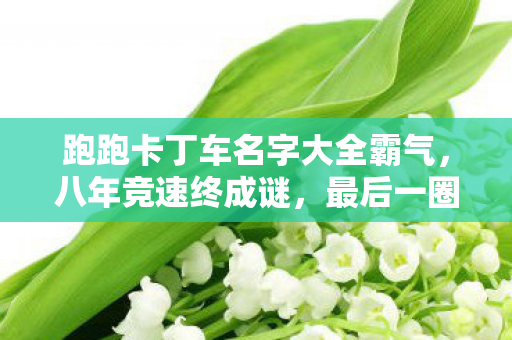 跑跑卡丁车名字大全霸气,八年竞速终成谜,最后一圈泪目时——跑跑卡丁车,再见青春! 跑跑卡丁车名字大全霸气,八年竞速终成谜,最后一圈泪目时——跑跑卡丁车,再见青春!