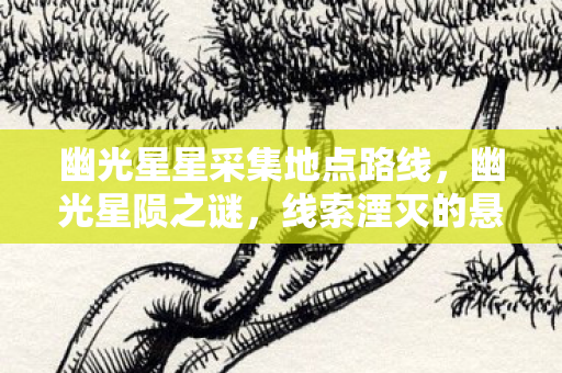 幽光星星采集地点路线，幽光星陨之谜，线索湮灭的悬案，毛骨悚然十年困局