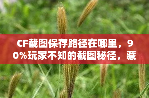CF截图保存路径在哪里,90%玩家不知的截图秘径,藏在硬盘深处的热血与孤独之殇 CF截图保存路径在哪里,90%玩家不知的截图秘径,藏在硬盘深处的热血与孤独之殇