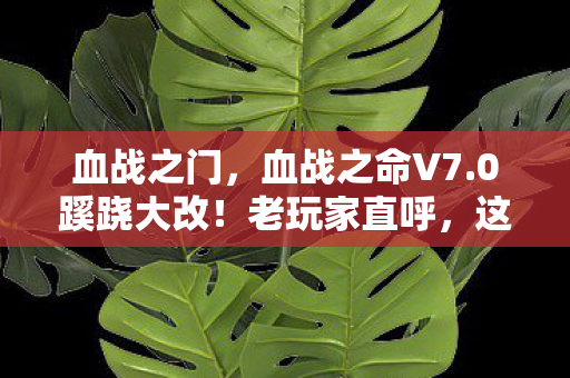 血战之门,血战之命V7.0蹊跷大改!老玩家直呼,这还是我认识的战场吗? 血战之门,血战之命V7.0蹊跷大改!老玩家直呼,这还是我认识的战场吗?
