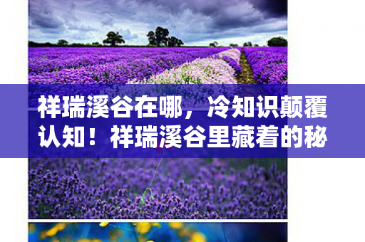 祥瑞溪谷在哪,冷知识颠覆认知!祥瑞溪谷里藏着的秘密,让你目瞪口呆到2026年 祥瑞溪谷在哪,冷知识颠覆认知!祥瑞溪谷里藏着的秘密,让你目瞪口呆到2026年