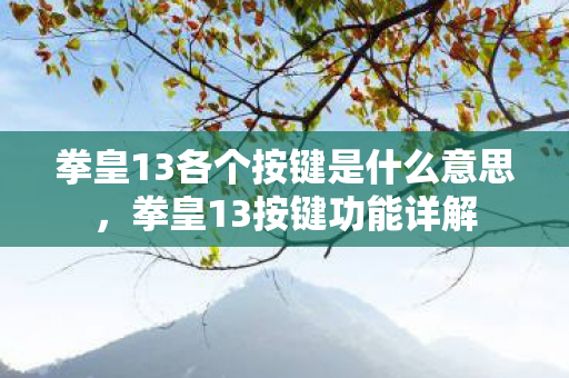 拳皇13各个按键是什么意思，拳皇13按键功能详解