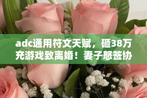 adc通用符文天赋,砸38万充游戏致离婚!妻子怒签协议,背后隐情让人吓一跳! adc通用符文天赋,砸38万充游戏致离婚!妻子怒签协议,背后隐情让人吓一跳!