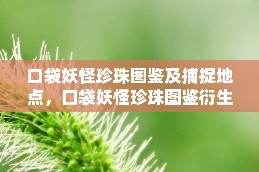 口袋妖怪珍珠图鉴及捕捉地点，口袋妖怪珍珠图鉴衍生数破3000！破圈联动音乐综艺，时尚圈也疯狂！