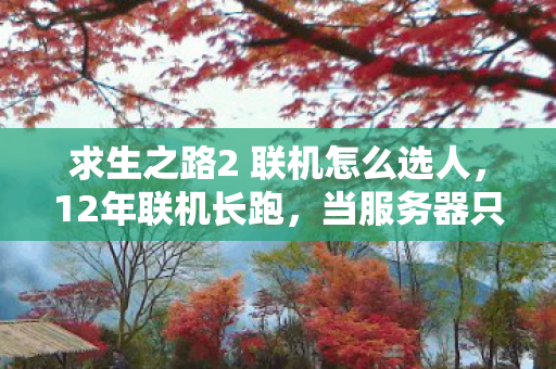 求生之路2 联机怎么选人，12年联机长跑，当服务器只剩最后1人，谜底揭开时全服泪目