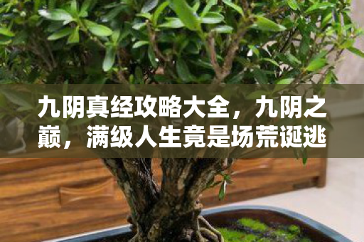 九阴真经攻略大全,九阴之巅,满级人生竟是场荒诞逃亡,灵魂震颤的悖论真相 九阴真经攻略大全,九阴之巅,满级人生竟是场荒诞逃亡,灵魂震颤的悖论真相