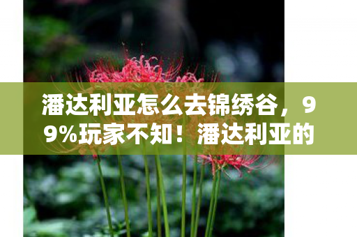 潘达利亚怎么去锦绣谷，99%玩家不知！潘达利亚的消失竟藏着3次行业巨变？