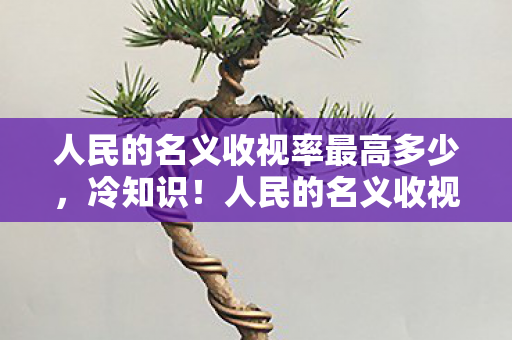 人民的名义收视率最高多少，冷知识！人民的名义收视率背后，颠覆认知的真相让我目瞪口呆！