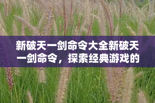 新破天一剑命令大全新破天一剑命令，探索经典游戏的深度玩法，新破天一剑命令大全，探索经典游戏的深度玩法