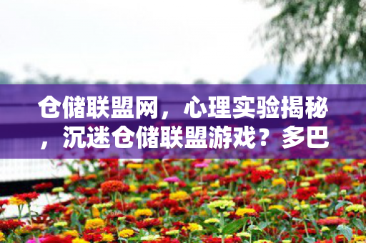 仓储联盟网，心理实验揭秘，沉迷仓储联盟游戏？多巴胺陷阱细思极恐！