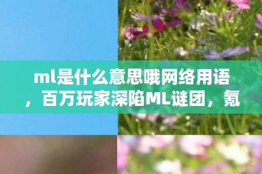 ml是什么意思哦网络用语，百万玩家深陷ML谜团，氪金大佬、肝帝、休闲党集体破防！