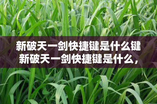 新破天一剑快捷键是什么键新破天一剑快捷键是什么图片