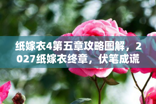 纸嫁衣4第五章攻略图解，2027纸嫁衣终章，伏笔成谎，那些年谁在对话框里说鼻子一酸