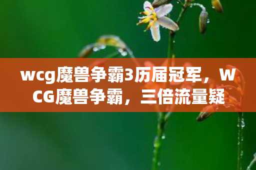 wcg魔兽争霸3历届冠军,WCG魔兽争霸,三倍流量疑云下,谁在让玩家心寒? wcg魔兽争霸3历届冠军,WCG魔兽争霸,三倍流量疑云下,谁在让玩家心寒?