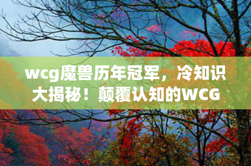 wcg魔兽历年冠军，冷知识大揭秘！颠覆认知的WCG魔兽设计，让你目瞪口呆！
