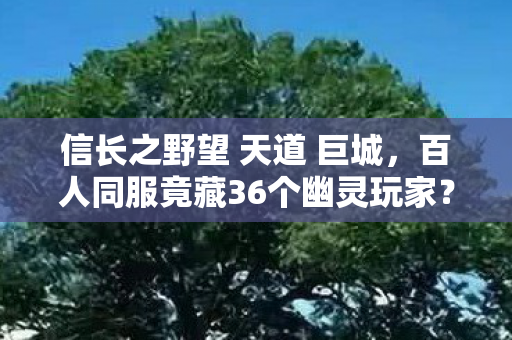 信长之野望 天道 巨城,百人同服竟藏36个幽灵玩家?这谜团让全服玩家集体破防! 信长之野望 天道 巨城,百人同服竟藏36个幽灵玩家?这谜团让全服玩家集体破防!