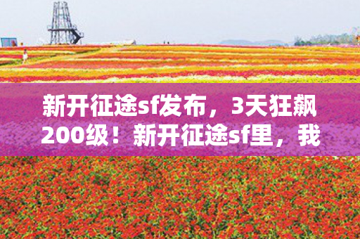 新开征途sf发布，3天狂飙200级！新开征途sf里，我亲手埋葬了15年的兄弟情