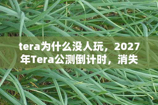 tera为什么没人玩，2027年Tera公测倒计时，消失的测试员与服务器里永不熄灭的幽灵代码
