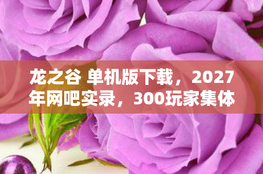 龙之谷 单机版下载，2027年网吧实录，300玩家集体哭诉单机版龙之谷，这疑点我当场笑出猪叫！