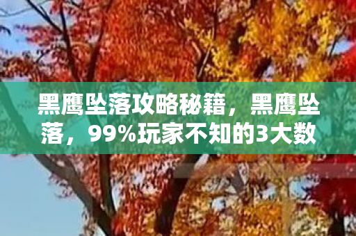 黑鹰坠落攻略秘籍,黑鹰坠落,99%玩家不知的3大数值陷阱!策划暗改概率实锤 黑鹰坠落攻略秘籍,黑鹰坠落,99%玩家不知的3大数值陷阱!策划暗改概率实锤