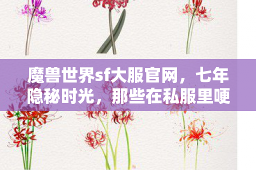 魔兽世界sf大服官网,七年隐秘时光,那些在私服里哽咽着说再见的夜晚 魔兽世界sf大服官网,七年隐秘时光,那些在私服里哽咽着说再见的夜晚