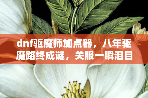 dnf驱魔师加点器，八年驱魔路终成谜，关服一瞬泪目空