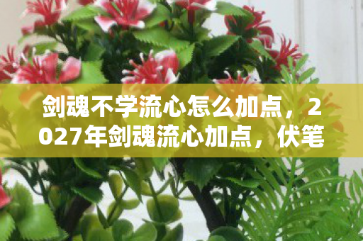 剑魂不学流心怎么加点，2027年剑魂流心加点，伏笔里藏着谁的名字，想起就鼻子一酸