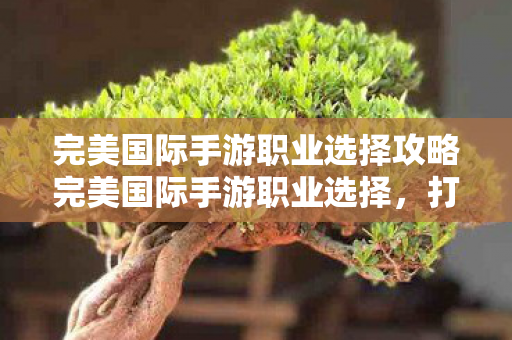 完美国际手游职业选择攻略完美国际手游职业选择图片