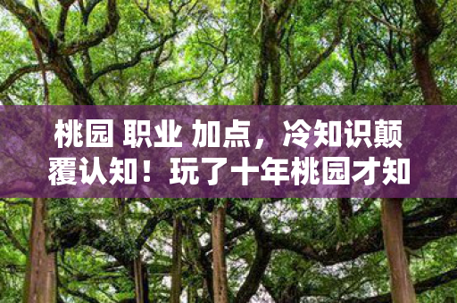 桃园 职业 加点,冷知识颠覆认知!玩了十年桃园才知职业选择让我目瞪口呆 桃园 职业 加点,冷知识颠覆认知!玩了十年桃园才知职业选择让我目瞪口呆