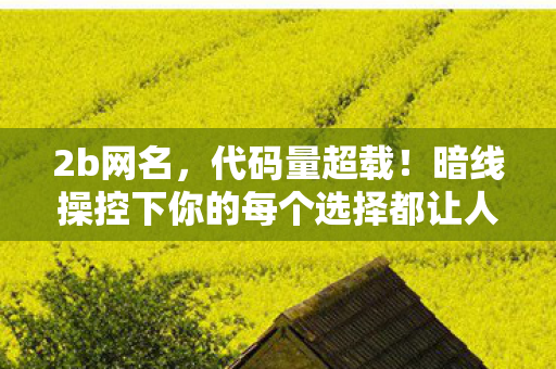 2b网名，代码量超载！暗线操控下你的每个选择都让人头皮发麻