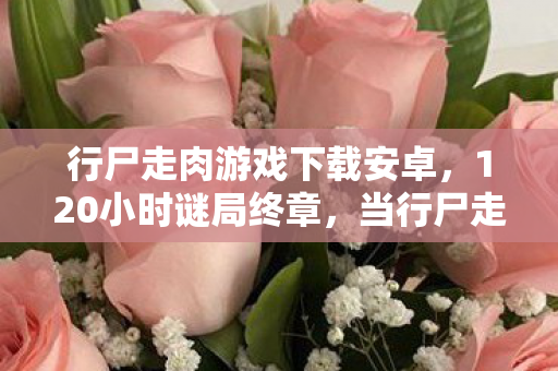 行尸走肉游戏下载安卓,120小时谜局终章,当行尸走肉啃食完最后1%的玩家,泪目真相浮出水面 行尸走肉游戏下载安卓,120小时谜局终章,当行尸走肉啃食完最后1%的玩家,泪目真相浮出水面