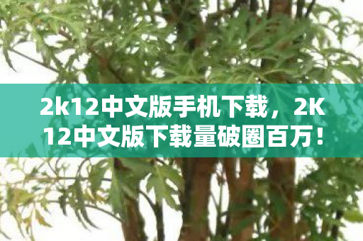 2k12中文版手机下载,2K12中文版下载量破圈百万!衍生数暴涨背后,我的钱包竟被这波操作掏空? 2k12中文版手机下载,2K12中文版下载量破圈百万!衍生数暴涨背后,我的钱包竟被这波操作掏空?