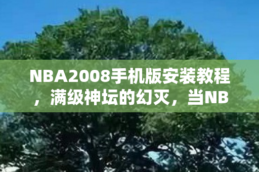 NBA2008手机版安装教程，满级神坛的幻灭，当NBA2008的王者跌入现实的深渊