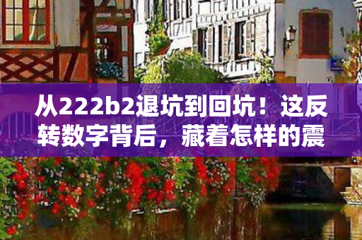 从222b2退坑到回坑!这反转数字背后,藏着怎样的震撼秘密? 从222b2退坑到回坑!这反转数字背后,藏着怎样的震撼秘密?