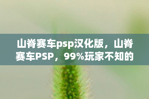 山脊赛车psp汉化版，山脊赛车PSP，99%玩家不知的隐藏赛道，竟藏着惊天秘密？
