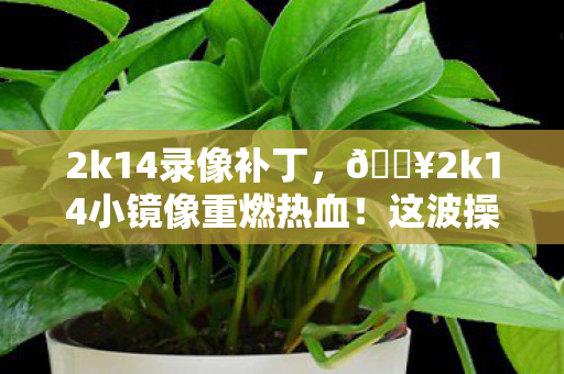 2k14录像补丁，🔥2k14小镜像重燃热血！这波操作让我直呼爷青回！
