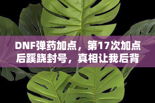DNF弹药加点，第17次加点后蹊跷封号，真相让我后背发凉！