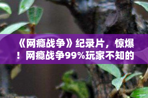 《网瘾战争》纪录片,惊爆!网瘾战争99%玩家不知的3大数值黑洞,策划暗改实锤! 《网瘾战争》纪录片,惊爆!网瘾战争99%玩家不知的3大数值黑洞,策划暗改实锤!