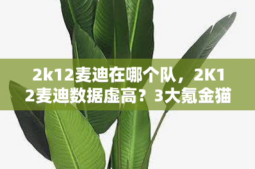 2k12麦迪在哪个队,2K12麦迪数据虚高?3大氪金猫腻让老玩家集体上头又心碎! 2k12麦迪在哪个队,2K12麦迪数据虚高?3大氪金猫腻让老玩家集体上头又心碎!