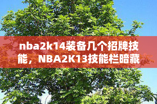 nba2k14装备几个招牌技能，NBA2K13技能栏暗藏血色悬案，当杀戮成为我的墓志铭