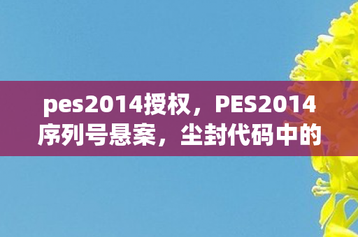 pes2014授权，PES2014序列号悬案，尘封代码中的毛骨悚然连环杀机