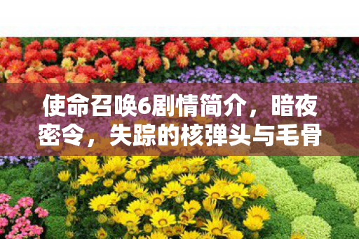使命召唤6剧情简介，暗夜密令，失踪的核弹头与毛骨悚然的影子政府悬案