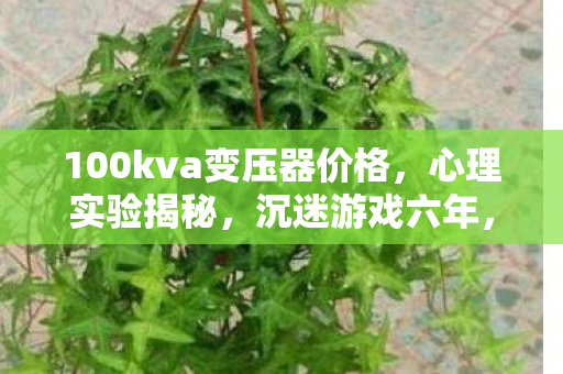 细思极恐的自我麻醉剂量报告图片