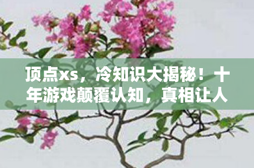 十年游戏颠覆认知图片