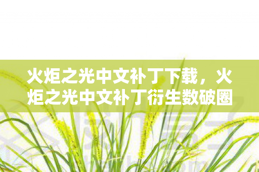 火炬之光中文补丁衍生数破圈图片