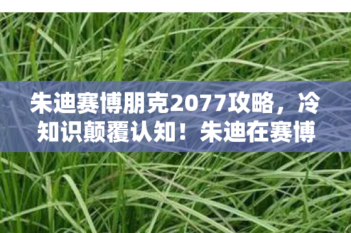 朱迪在赛博朋克2077里藏的秘密图片