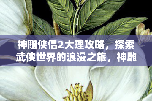 神雕侠侣2大理攻略,探索武侠世界的浪漫之旅,神雕侠侣2大理浪漫之旅攻略,探索武侠世界的浪漫风情 神雕侠侣2大理攻略,探索武侠世界的浪漫之旅,神雕侠侣2大理浪漫之旅攻略,探索武侠世界的浪漫风情